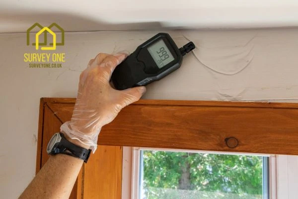 Should You Repair Party Wall Damp Yourself or Hire a Specialist Surveyor Milton Keynes?